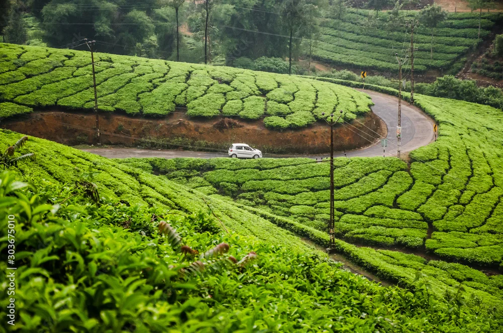Popular places in kerala